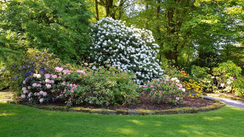 Warley House Garden